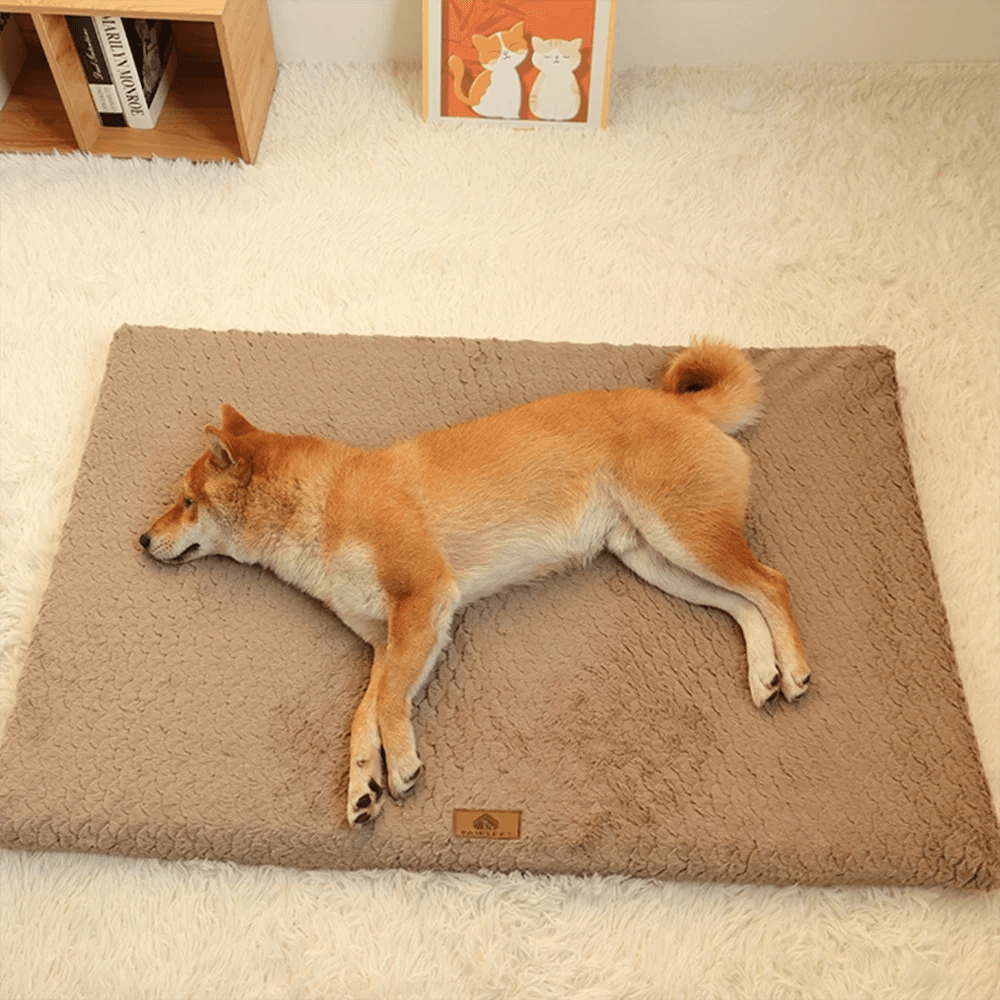 Anti-Slip Orthopaedic Dog Bed