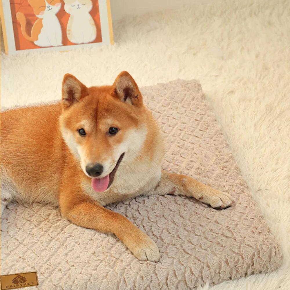 Anti-Slip Orthopaedic Dog Bed