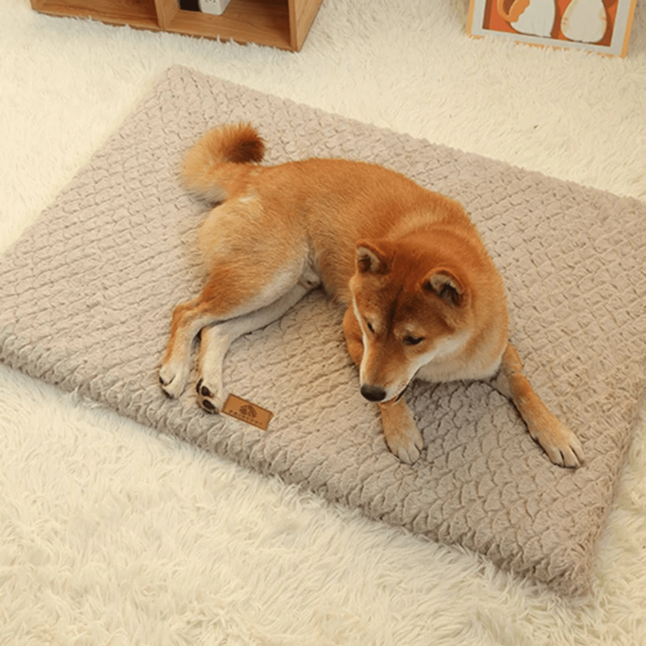 Anti-Slip Orthopaedic Dog Bed